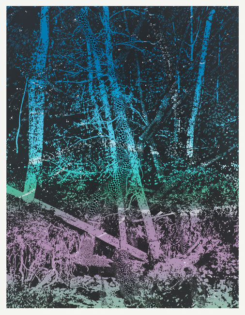 Sebastiaan Bremer
The Sunken Forest
2023
Relief/screenprint
27-3/4 x 21-1/2 inches