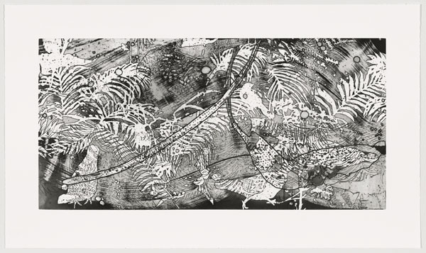 Elisabeth Condon, Tempest, 2019. 25  x 42 , 1-run spit bite aquatint with photo etching and open bite, Edition: 50