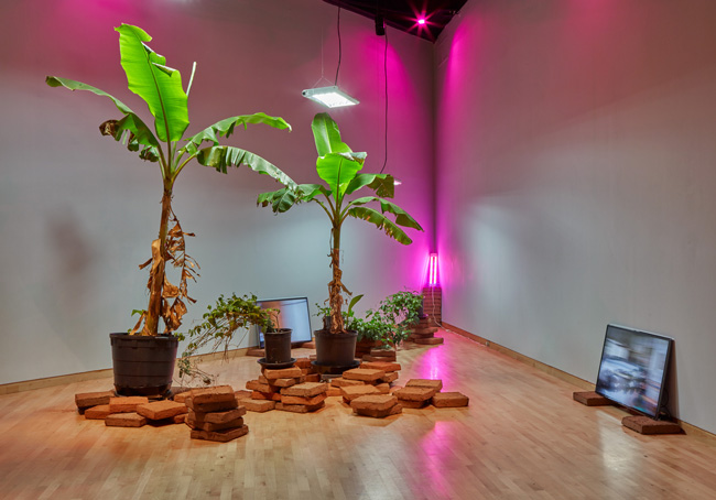 Installation view of Battin' A Hundred: 2020 MFA Graduation Exhibition at USF Contemporary Art Museum. Photo: Will Lytch.
