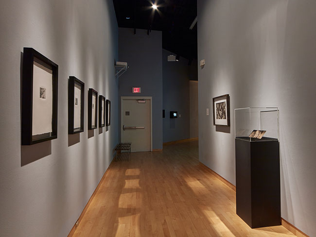 Installation view of Someday You�ll Have To Say It Out Loud: MFA Graduation Exhibition at USF Contemporary Art Museum. Photo: Will Lytch.