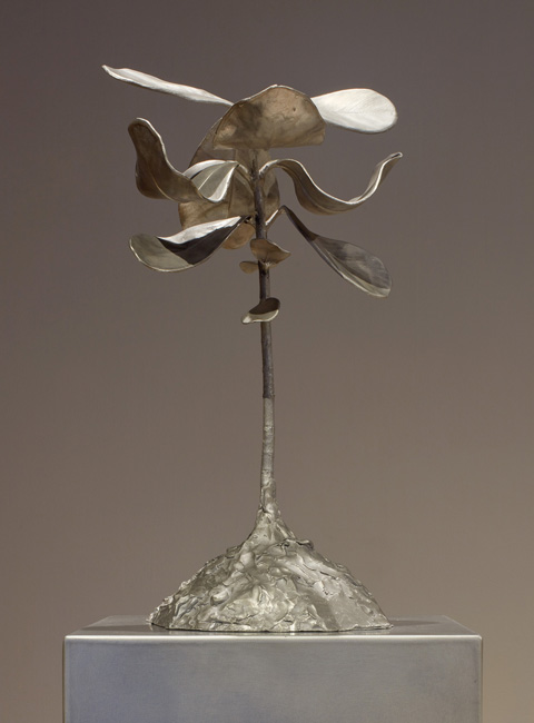 Jim Dine, Metamorphosis of a Plant into a Fan