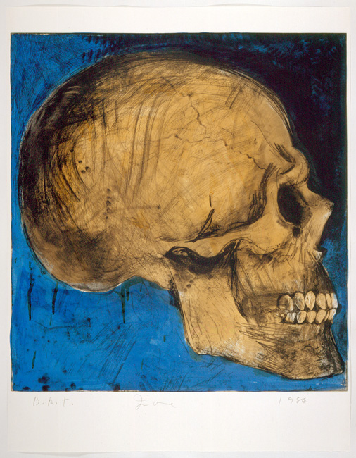 a side view of a skull on a blue background